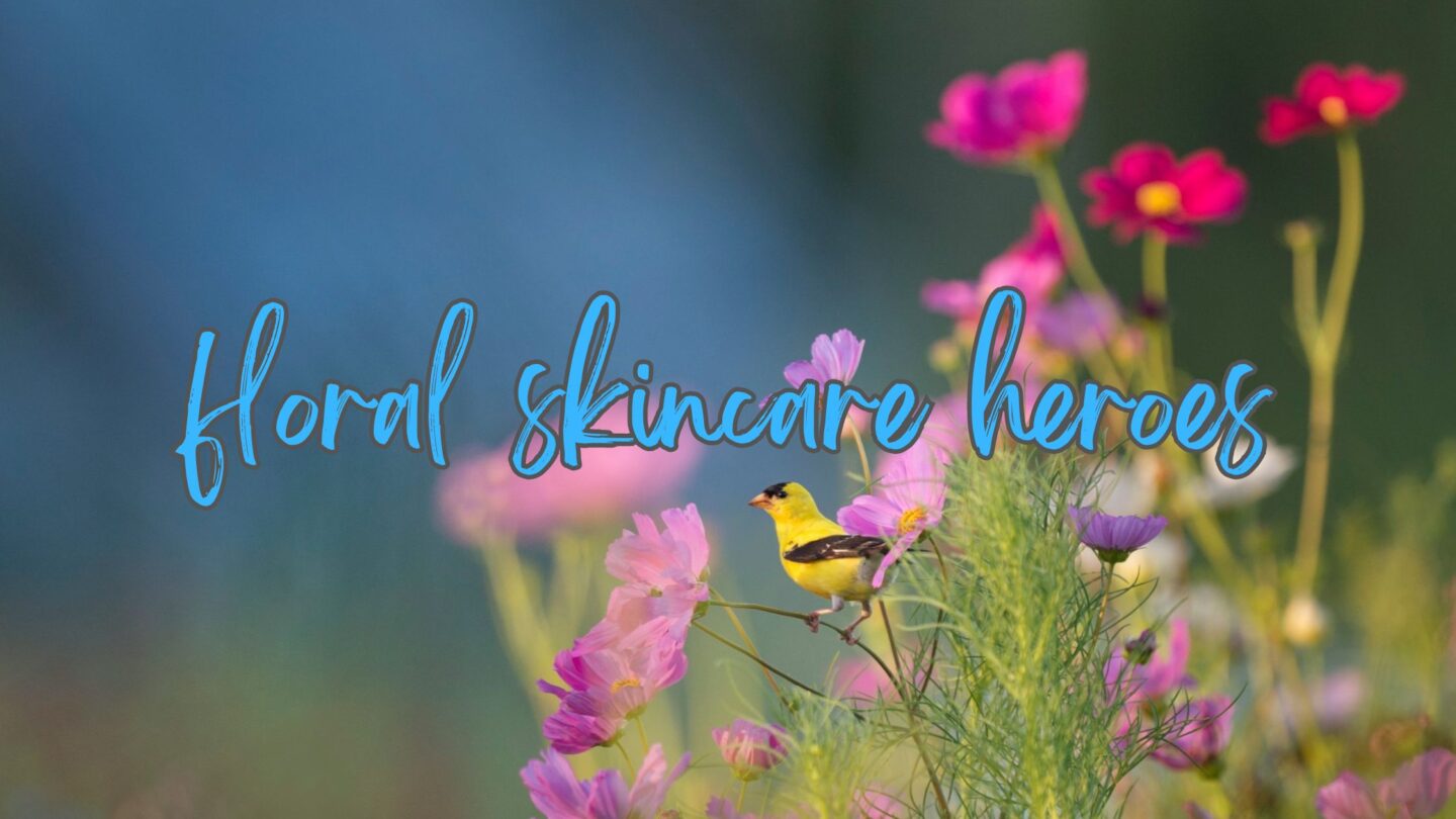 floral skincare banner