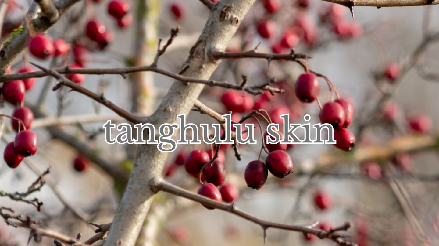 Tanghulu skin: from street snack to skincare trend